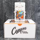 Electro-Harmonix Canyon Delay & Looper Pedal