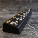 Boss GA-FC EX Foot Controller
