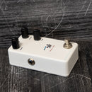 Animals Pedal Relaxing Walrus Delay V2