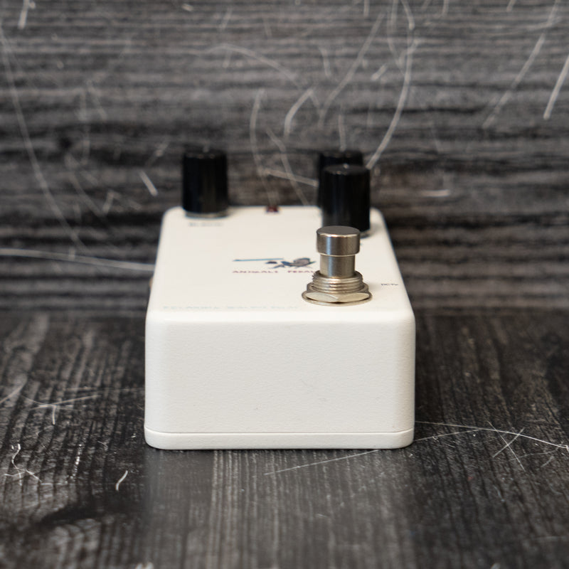 Animals Pedal Relaxing Walrus Delay V2