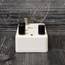 Animals Pedal Relaxing Walrus Delay V2