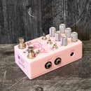 Chase Bliss Audio Lossy