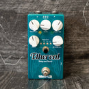Wampler Ethereal Delay