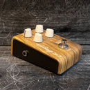 L.R. Baggs Align Session