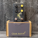 Gear Ant Yellow Jacket
