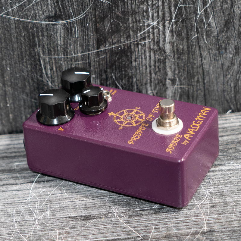 Analog.Man Prince of Tone