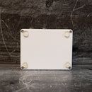 Benson Amps PreAmp - White/Gold