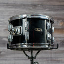 Pearl Tom - 12x8"