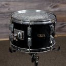 Pearl Tom - 12x8"