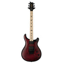 PRS Dustie Waring CE24 "Floyd" - Waring Wraparound Burst