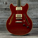 D'Angelico Excel DC Tour