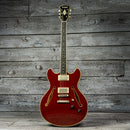 D'Angelico Excel DC Tour