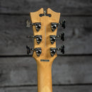 D'Angelico Premier Series Bedford SH