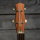 Danelectro Model 3412 Shorthorn Bass 1961