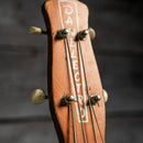 Danelectro Model 3412 Shorthorn Bass 1961