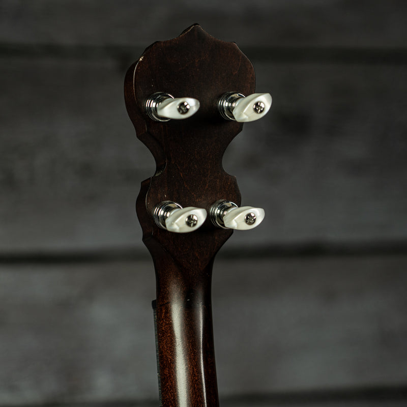 Deering Artisan Goodtime Special Banjo