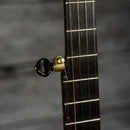 Dogwood Banjo Co. 12" Open Back