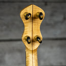 Dogwood Banjo Co. 12" Open Back