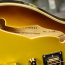 Duesenberg Alliance Series Joe Walsh Signature - Goldburst
