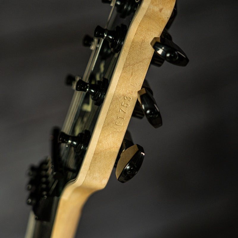 EVH Custom Shop USA Special Edition Wolfgang - Marine Swirl