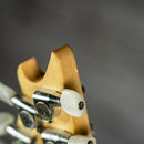 EVH Wolfgang Special