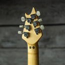 EVH Wolfgang Special