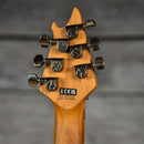 EVH Wolfgang Standard