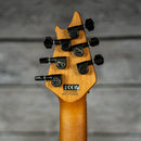 EVH Wolfgang WG Standard - Baked Maple Fingerboard, Silver Sparkle