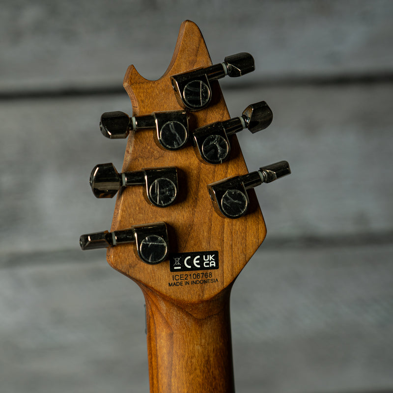 EVH Wolfgang WG Standard QM