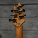 EVH Wolfgang WG Standard