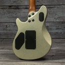 EVH Wolfgang WG Standard