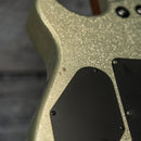 EVH Wolfgang WG Standard