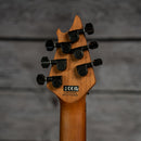 EVH Wolfgang WG Standard