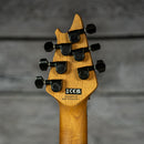 EVH Wolfgang WG Standard