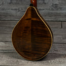 Lyon & Healy Mandolin - Early 1900s