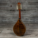 Lyon & Healy Mandolin - Early 1900s
