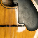 Lyon & Healy Mandolin - Early 1900s