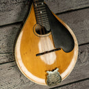 Lyon & Healy Mandolin - Early 1900s