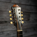 Lyon & Healy Mandolin - Early 1900s