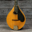 Lyon & Healy Mandolin - Early 1900s