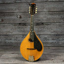 Lyon & Healy Mandolin - Early 1900s