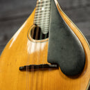 Lyon & Healy Mandolin - Early 1900s
