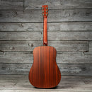 Eastman E1D