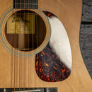 Eastman E1D