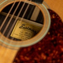 Eastman E8D-TC