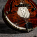 Eastman ER-M