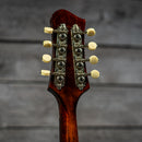 Eastman ER-M