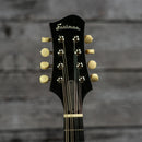 Eastman ER-M