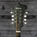 Eastman MD315