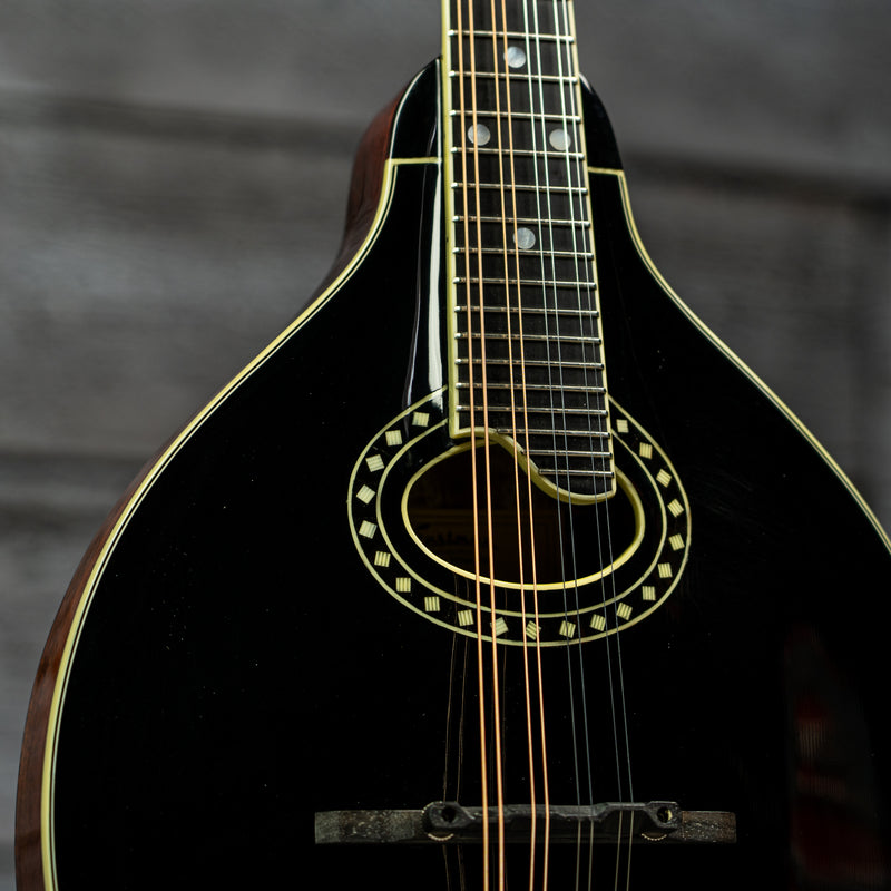 Eastman MD404